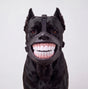 GrinGuard™ Dog Muzzle