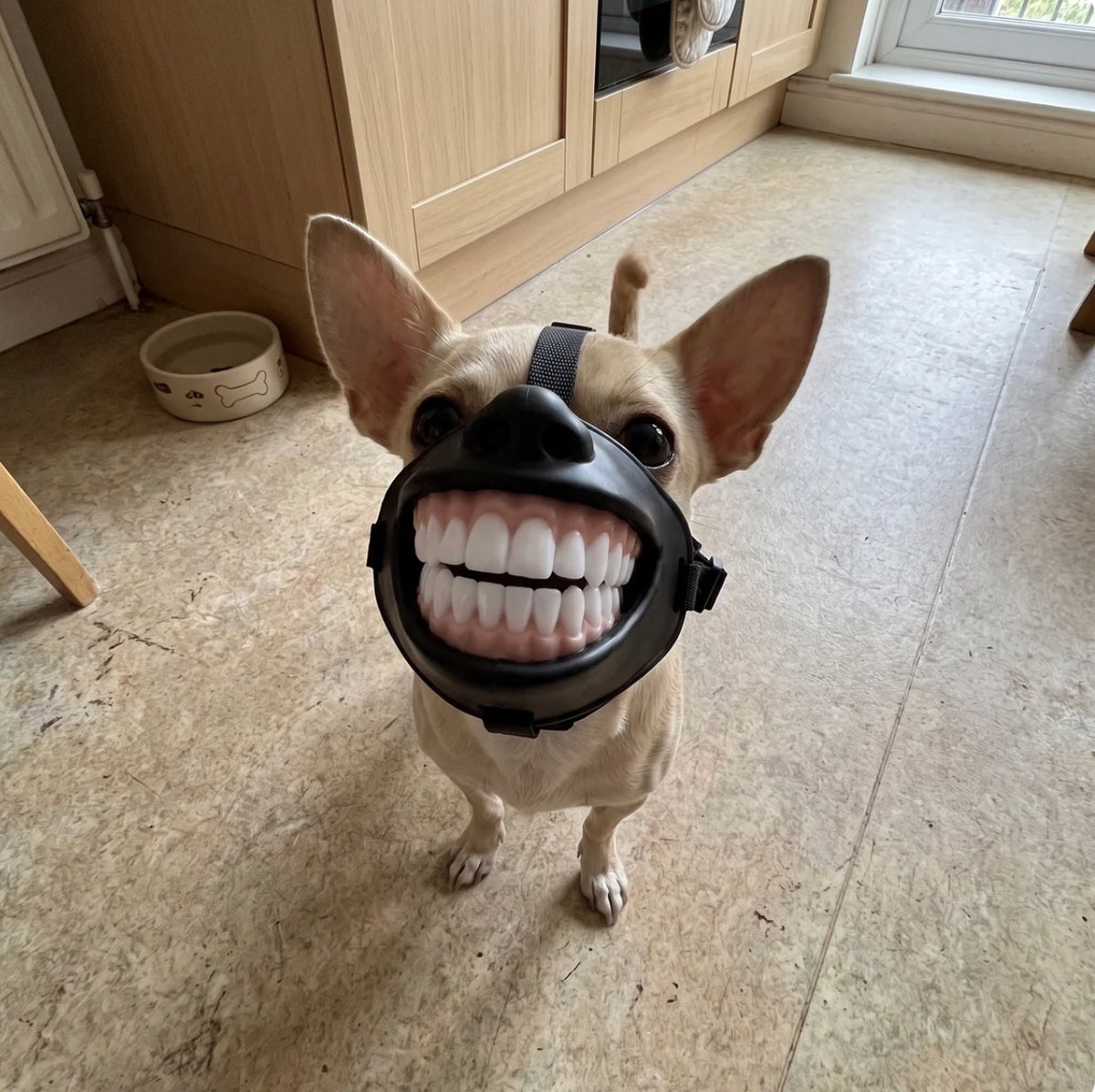 GrinGuard™ Dog Muzzle