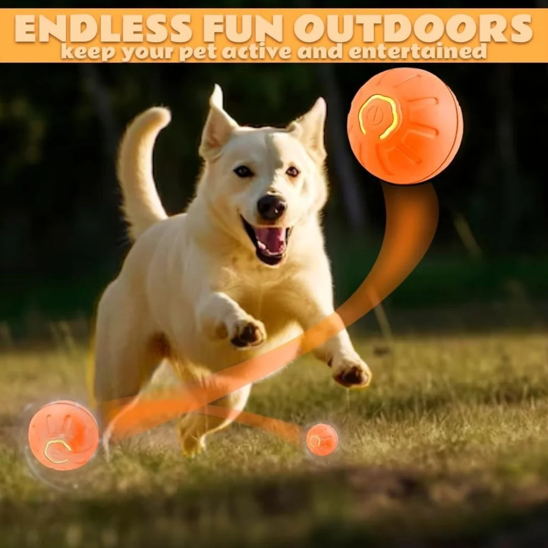 Gravity Bouncing Ball - Electric Pet Toy for Dogs & Cats