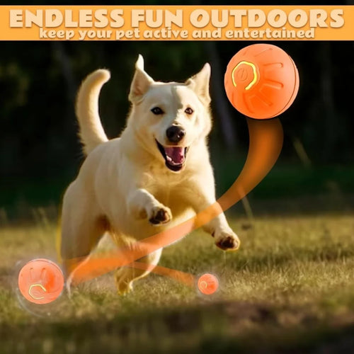 Gravity Bouncing Ball - Electric Pet Toy for Dogs & Cats
