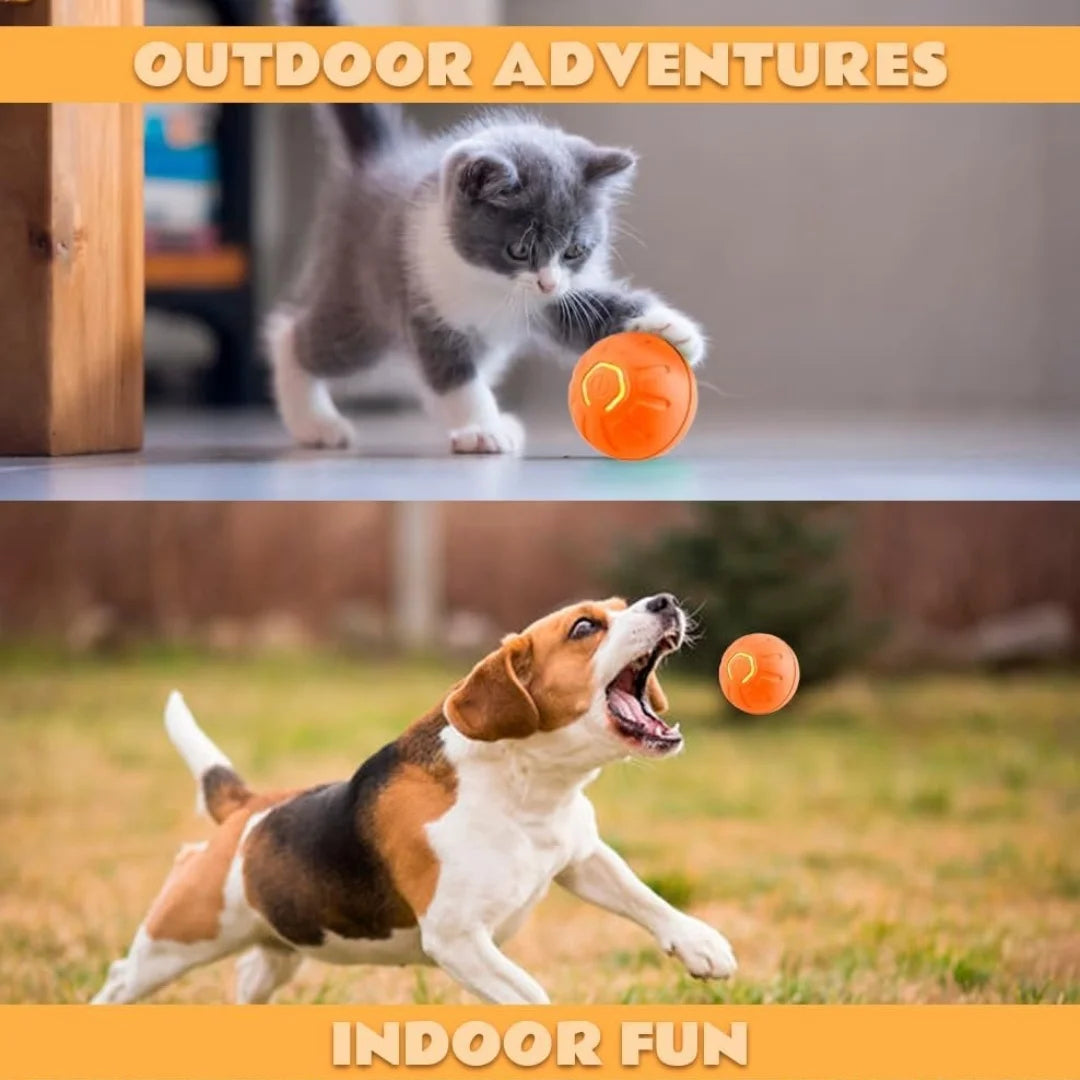 Gravity Bouncing Ball - Electric Pet Toy for Dogs & Cats