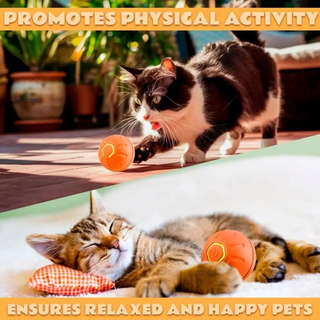 Gravity Bouncing Ball - Electric Pet Toy for Dogs & Cats