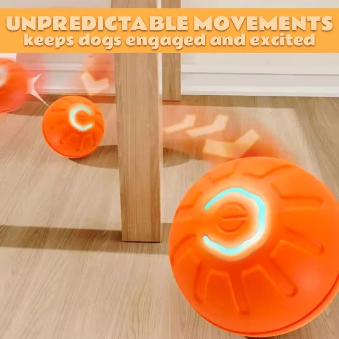 Gravity Bouncing Ball - Electric Pet Toy for Dogs & Cats