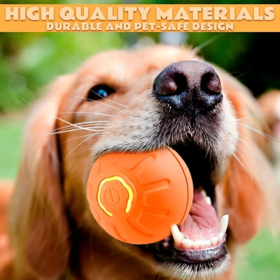 Gravity Bouncing Ball - Electric Pet Toy for Dogs & Cats